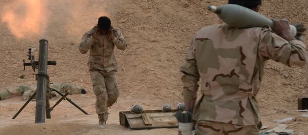 俄參議員：敘利亞恐怖分子手中握有200噸化學物質 - 俄羅斯衛星通訊社