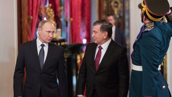 俄总统普京批准俄罗斯联邦和乌兹别克斯坦间军事技术合作发展协议 - 俄罗斯卫星通讯社