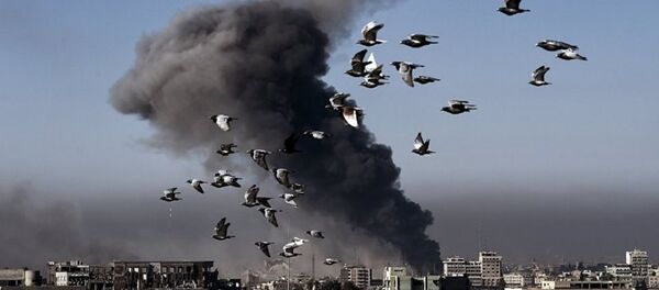 摩苏尔市 - 俄罗斯卫星通讯社