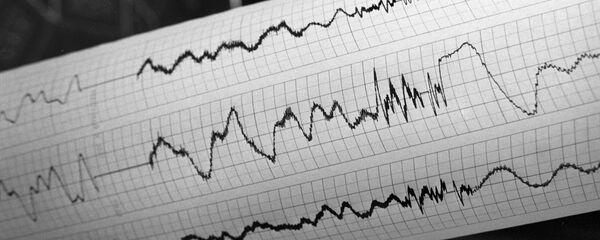 地震仪 - 俄罗斯卫星通讯社