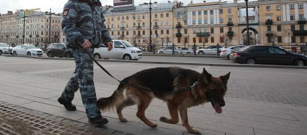 圣彼得堡一住宅楼现爆炸装置已拆除 - 俄罗斯卫星通讯社