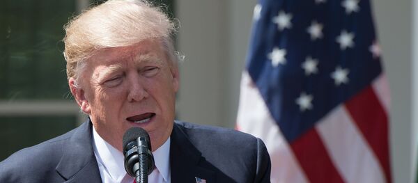 US President Donald Trump - 俄羅斯衛星通訊社