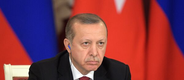 Президент РФ В. Путин принял участие в заседании Совета сотрудничества высшего уровня между РФ и Турцией - 俄罗斯卫星通讯社