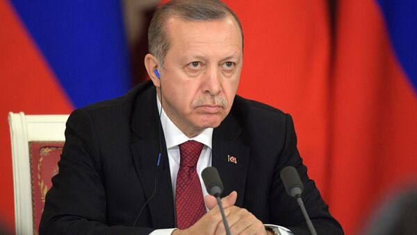 土耳其总统希望第6轮叙问题阿斯塔纳和谈能取得具体成果 - 俄罗斯卫星通讯社