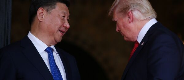 习特会 - 俄罗斯卫星通讯社