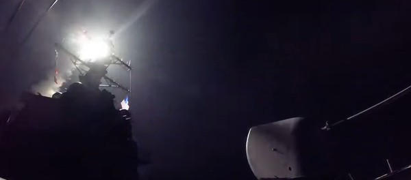 伊朗外长顾问：美国打击叙空军基地或将导致与入侵阿富汗同样的后果 - 俄罗斯卫星通讯社