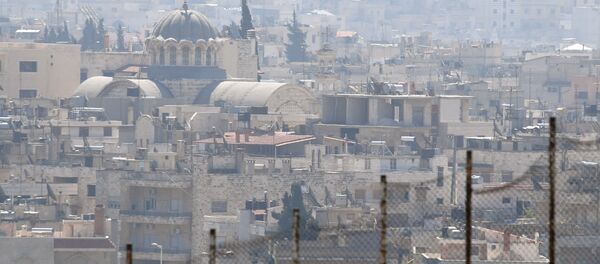 叙利亚 叙利亚 - 俄罗斯卫星通讯社