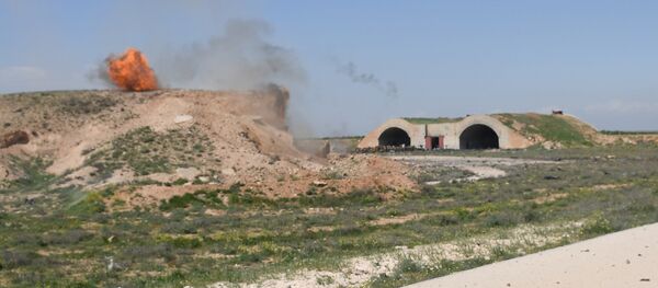 美国专家：特朗普决定打击叙利亚后美媒软化对其态度 - 俄罗斯卫星通讯社