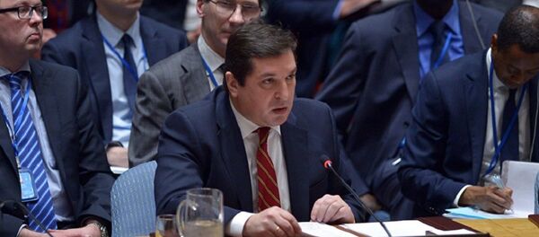 俄常驻联合国副代表：美国阻碍以色列与阿拉伯国家关系实现正常化 - 俄罗斯卫星通讯社