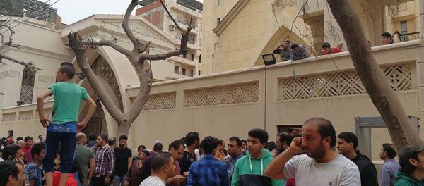 埃及 - 俄罗斯卫星通讯社