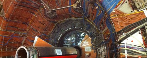 俄羅斯科學家將在歐洲核子研究中心研究“美誇克” 俄羅斯科學家將在歐洲核子研究中心研究“美誇克” - 俄羅斯衛星通訊社
