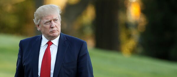 美國總統特朗普 - 俄羅斯衛星通訊社