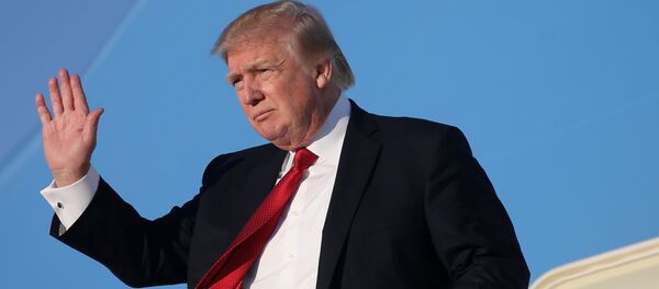 U.S. President Donald Trump waves as he arrives at Joint Base Andrews, Maryland - 俄罗斯卫星通讯社