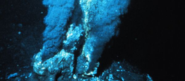 蛟龙号发现27处海底黑烟囱 - 俄罗斯卫星通讯社