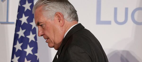 美国务卿称访俄期间俄美未决定任何问题 - 俄罗斯卫星通讯社