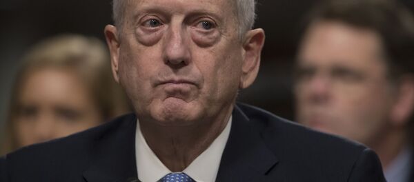 美国国防部长马蒂斯 - 俄罗斯卫星通讯社