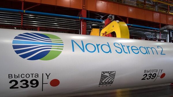 Nord Stream 2公司將評估北溪2號項目對俄環境影響 - 俄羅斯衛星通訊社