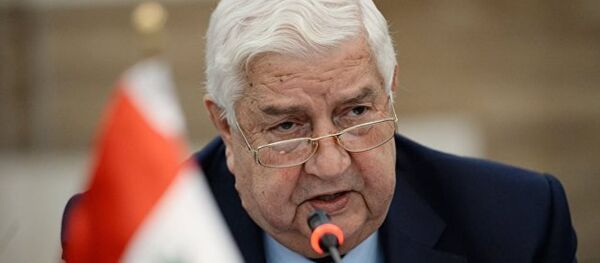 叙利亚外长 - 俄罗斯卫星通讯社