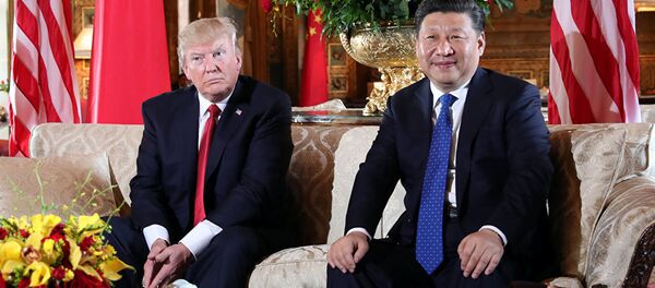 特朗普与习近平 - 俄罗斯卫星通讯社