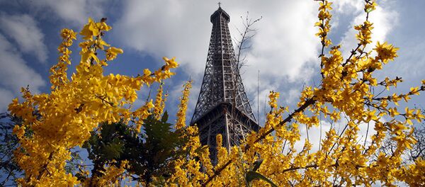 巴黎 - 俄罗斯卫星通讯社
