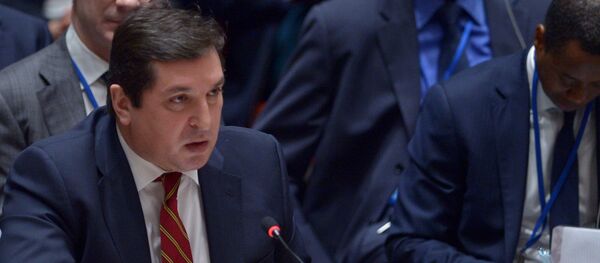 俄驻联合国代表 俄驻联合国代表 - 俄罗斯卫星通讯社