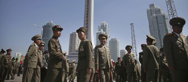 俄驻日大使：朝鲜裁军应与有关确保地区和平措施的对话同时进行 - 俄罗斯卫星通讯社