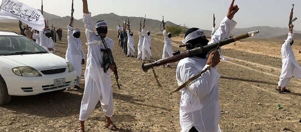 塔利班不会宣布与阿富汗政府停火 - 俄罗斯卫星通讯社