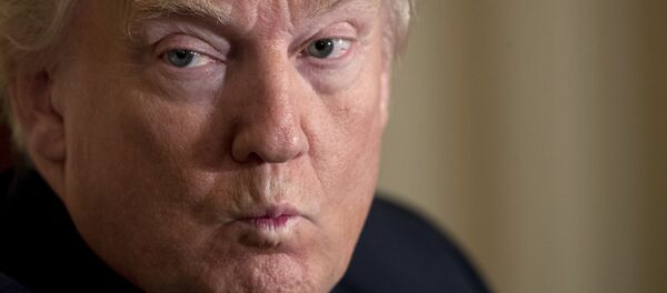 美国总统特朗普 - 俄罗斯卫星通讯社