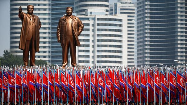 中国在朝鲜建国70周年之日表示对它支持 - 俄罗斯卫星通讯社