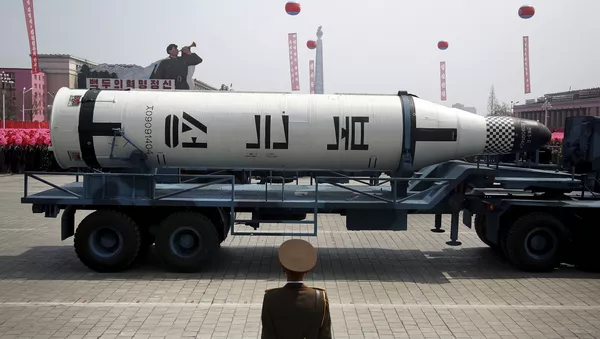 特朗普認為朝鮮可能造出性能良好的導彈 - 俄羅斯衛星通訊社