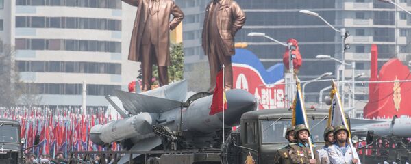 外媒：朝鮮準備擊沈美國航母以此顯示自己的軍力 - 俄羅斯衛星通訊社