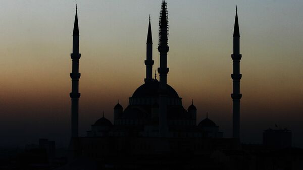媒体：土耳其总统清真寺主持祷告活动时突然晕倒 - 俄罗斯卫星通讯社