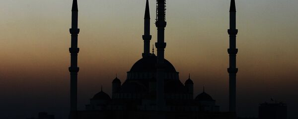 土耳其开始宪法公投 - 俄罗斯卫星通讯社