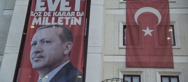 中國專家:土耳其改行總統制對世俗化構成威脅 中國專家:土耳其改行總統制對世俗化構成威脅 - 俄羅斯衛星通訊社