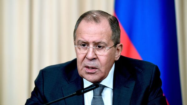 俄外长：俄期待禁止化学武器组织将向汉谢洪镇和沙伊拉特机场派遣专家 - 俄罗斯卫星通讯社