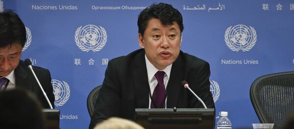 朝鲜常驻联合国副代表金利龙 - 俄罗斯卫星通讯社
