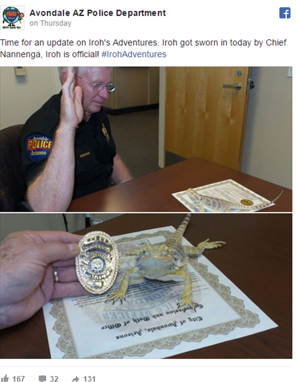  蜥蜴 - 俄羅斯衛星通訊社