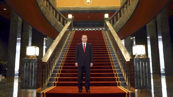 Turkish President Recep Tayyip Erdogan poses Ak Saray presidential palace - 俄羅斯衛星通訊社