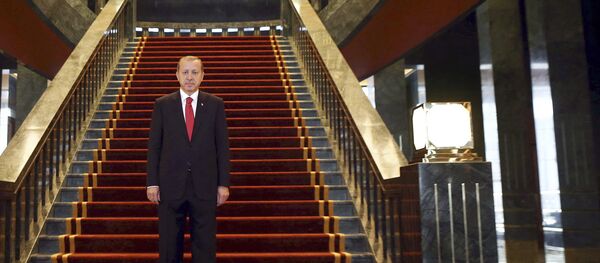 Turkish President Recep Tayyip Erdogan poses Ak Saray presidential palace - 俄罗斯卫星通讯社