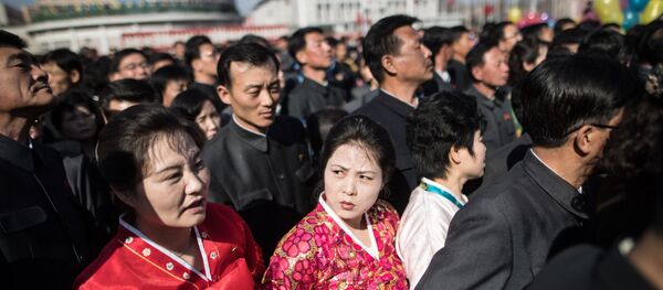 朝鲜:我国才是“保护人权的堡垒” - 俄罗斯卫星通讯社