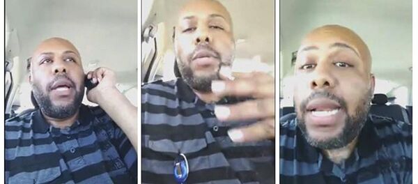 史蒂夫·史蒂文斯 - 俄罗斯卫星通讯社