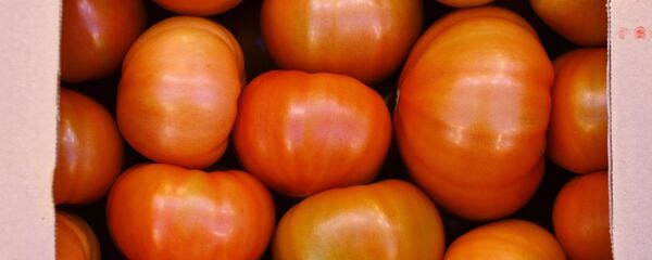 專家確定每天吃番茄的標準 - 俄羅斯衛星通訊社