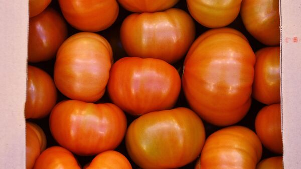 专家确定每天吃番茄的标准 - 俄罗斯卫星通讯社