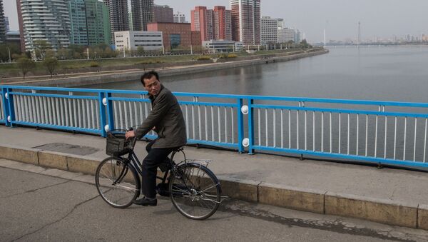 Мужчина едет на велосипеде по одному из мостов в Пхеньяне - 俄羅斯衛星通訊社