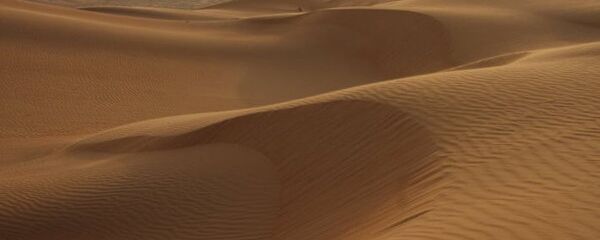 人类已将2019年可再生资源提前用完 人类已将2019年可再生资源提前用完 - 俄罗斯卫星通讯社