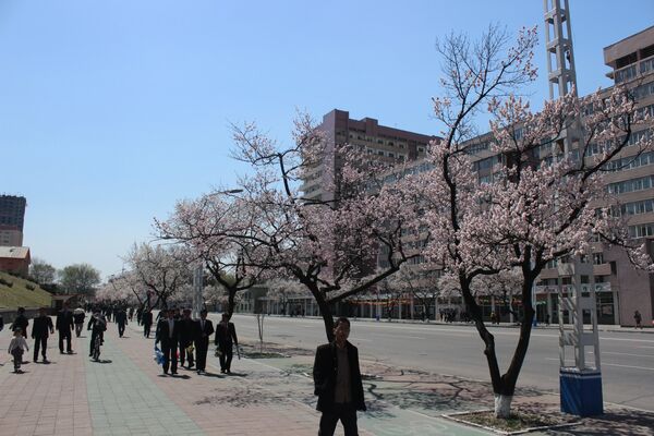 平壤 平壤 - 俄罗斯卫星通讯社