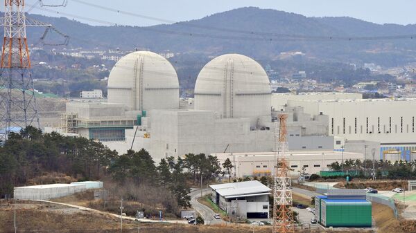 韓國核反應堆 - 俄羅斯衛星通訊社