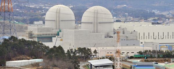 韩国总统候选人承诺放弃建新核电站 - 俄罗斯卫星通讯社
