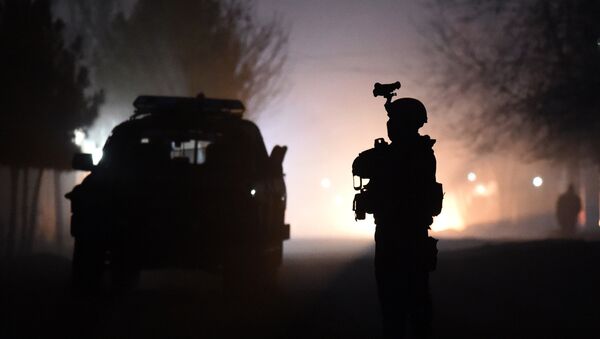 阿富汗國防部：阿富汗軍隊一晝夜消滅40多名“伊斯蘭國”武裝分子 - 俄羅斯衛星通訊社