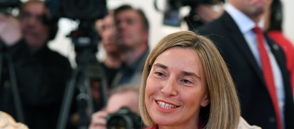 欧盟外长:欧盟对与俄在反恐及解决叙问题上的合作感兴趣 欧盟外长:欧盟对与俄在反恐及解决叙问题上的合作感兴趣 - 俄罗斯卫星通讯社